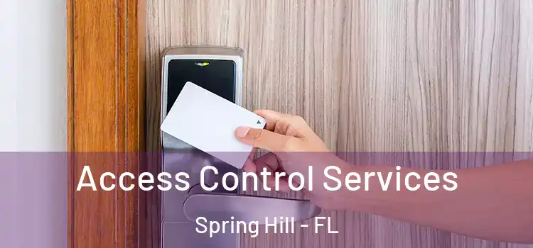 Access Control Services Spring Hill - FL