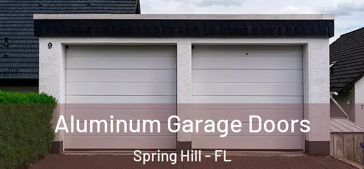  Aluminum Garage Doors Spring Hill - FL