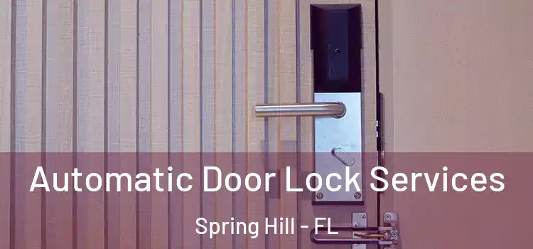 Automatic Door Lock Services Spring Hill - FL