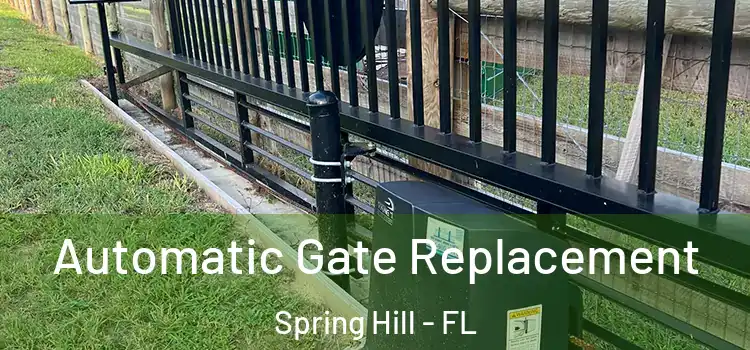 Automatic Gate Replacement Spring Hill - FL