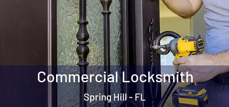 Commercial Locksmith Spring Hill - FL