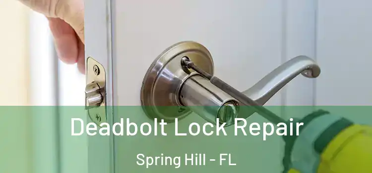  Deadbolt Lock Repair Spring Hill - FL