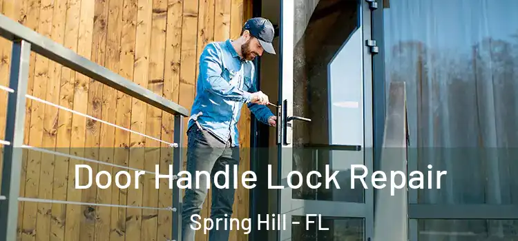 Door Handle Lock Repair Spring Hill - FL