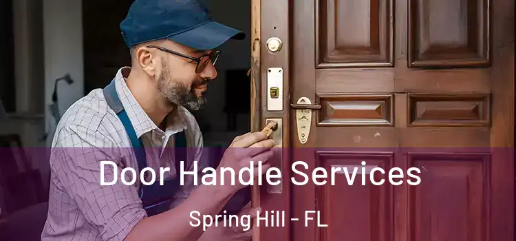 Door Handle Services Spring Hill - FL