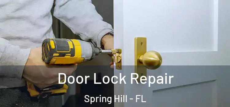 Door Lock Repair Spring Hill - FL