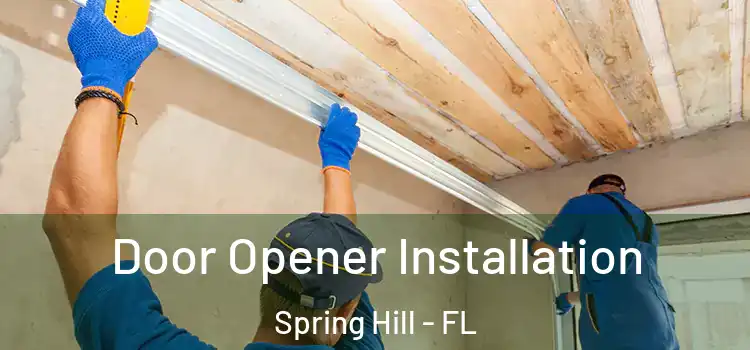  Door Opener Installation Spring Hill - FL