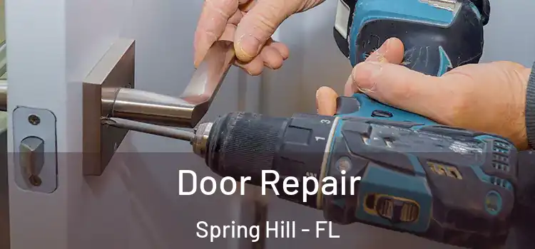 Door Repair Spring Hill - FL