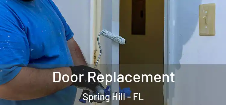 Door Replacement Spring Hill - FL