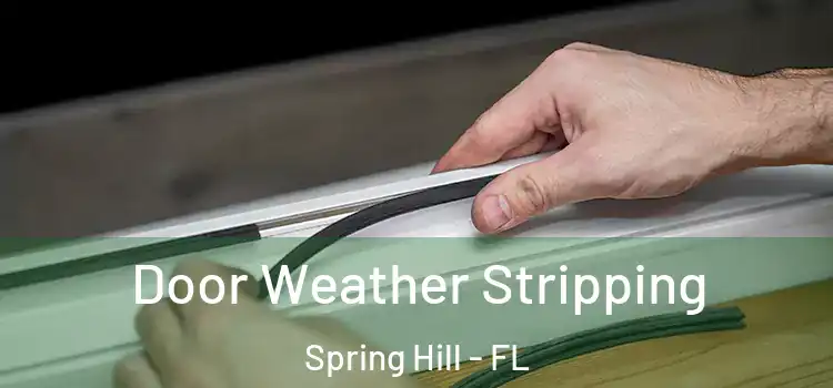  Door Weather Stripping Spring Hill - FL