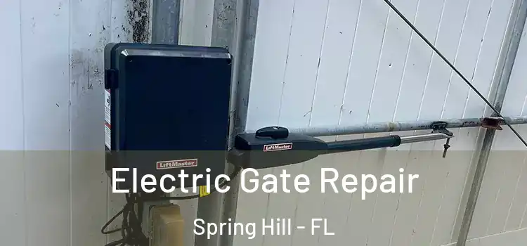  Electric Gate Repair Spring Hill - FL
