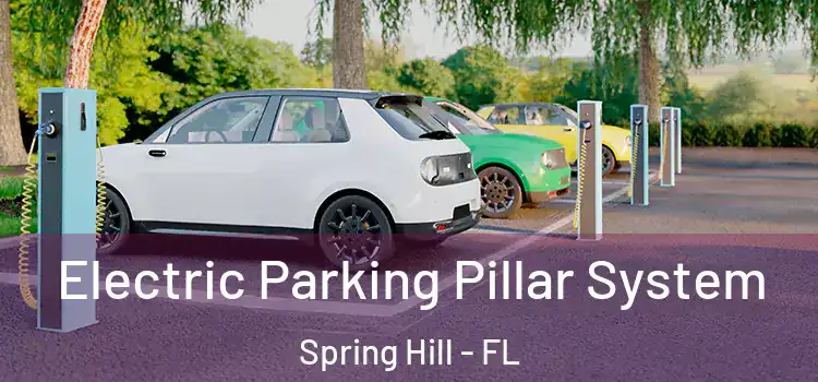 Electric Parking Pillar System Spring Hill - FL
