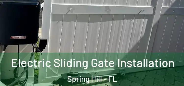 Electric Sliding Gate Installation Spring Hill - FL