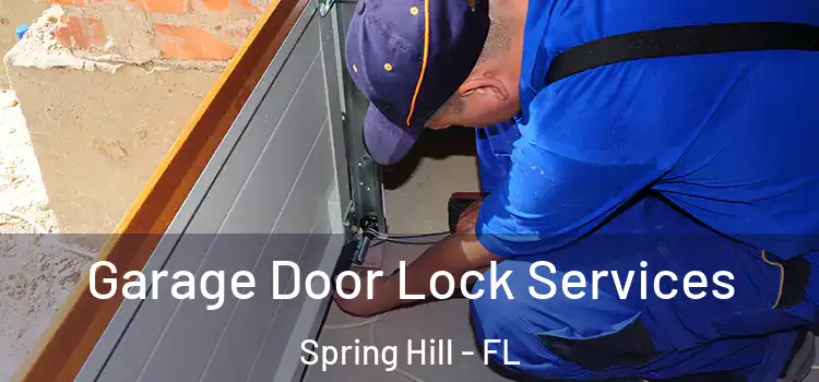  Garage Door Lock Services Spring Hill - FL