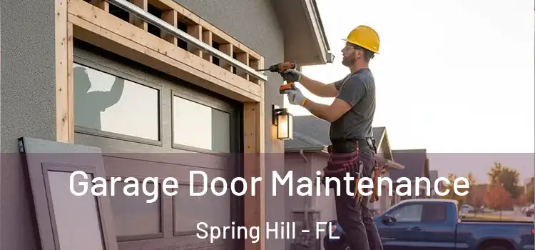 Garage Door Maintenance Spring Hill - FL