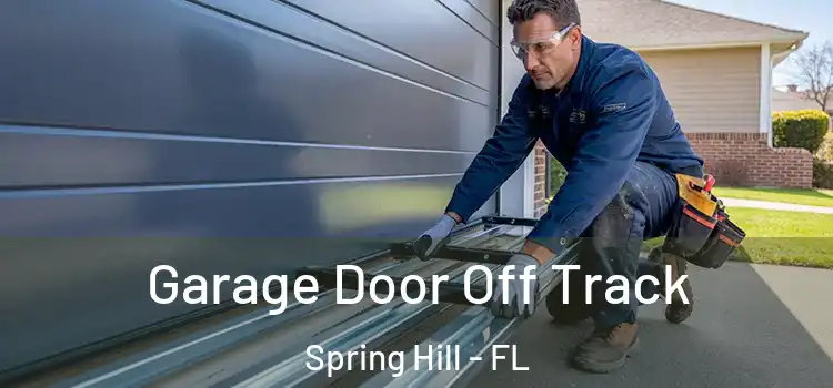  Garage Door Off Track Spring Hill - FL