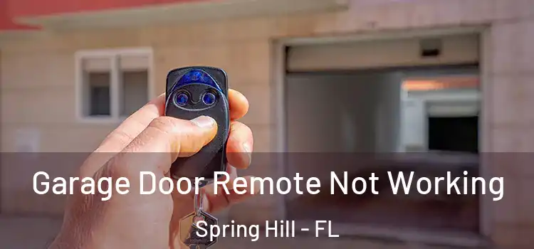  Garage Door Remote Not Working Spring Hill - FL
