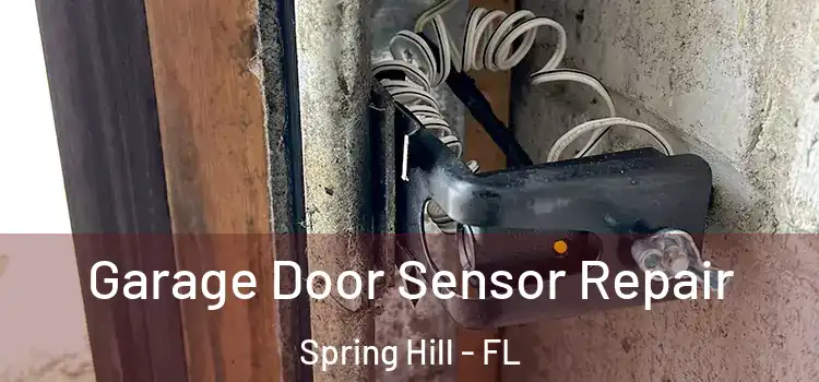 Garage Door Sensor Repair Spring Hill - FL