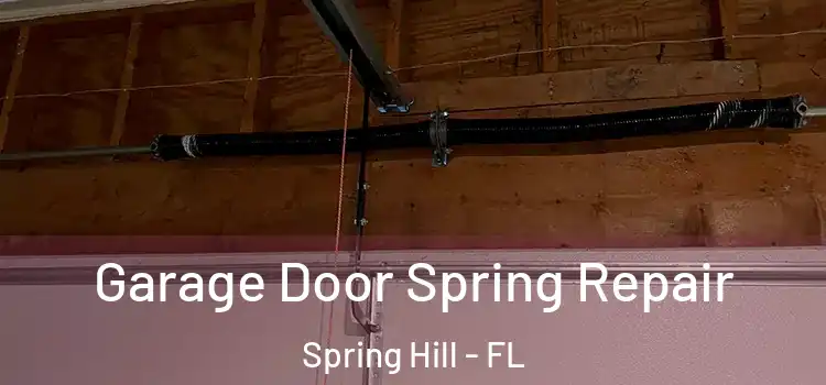  Garage Door Spring Repair Spring Hill - FL