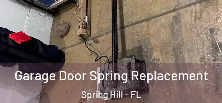  Garage Door Spring Replacement Spring Hill - FL