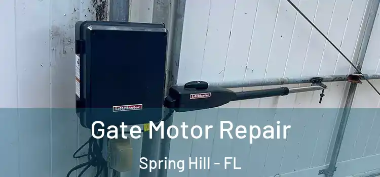 Gate Motor Repair Spring Hill - FL