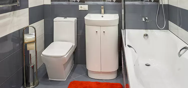 Hansgrohe Shaving Mirror Spring Hill