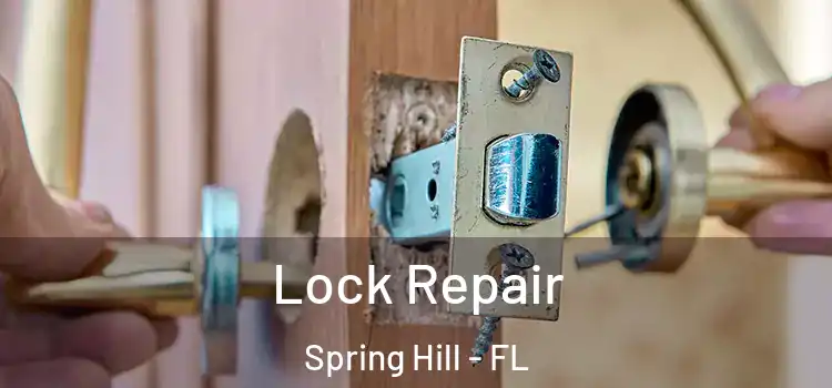 Lock Repair Spring Hill - FL