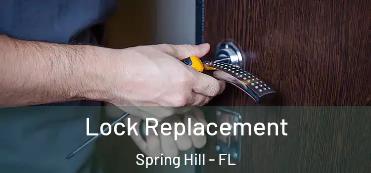 Lock Replacement Spring Hill - FL