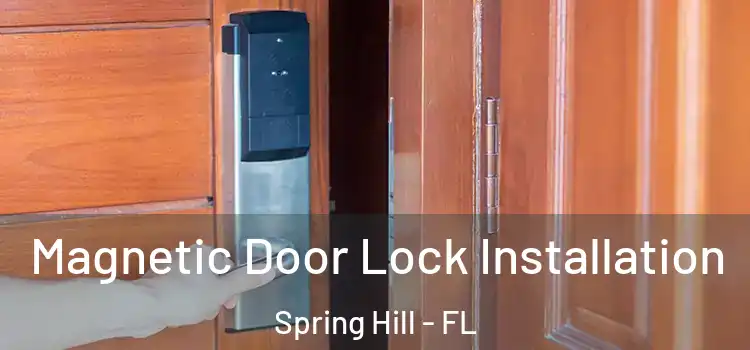  Magnetic Door Lock Installation Spring Hill - FL