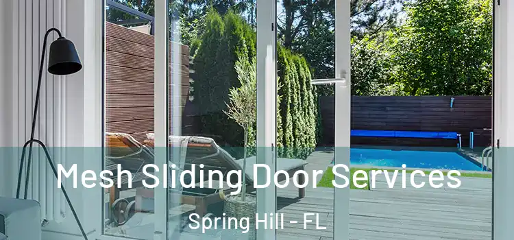 Mesh Sliding Door Services Spring Hill - FL