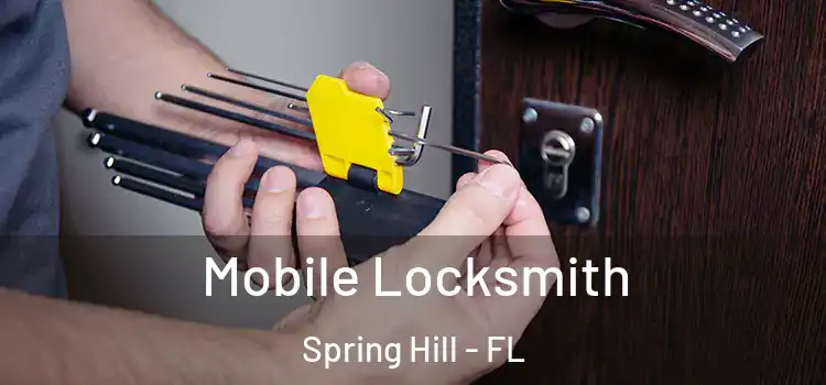 Mobile Locksmith Spring Hill - FL