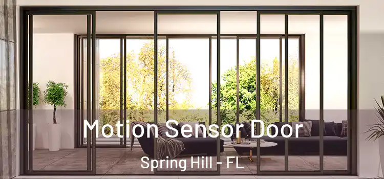 Motion Sensor Door Spring Hill - FL