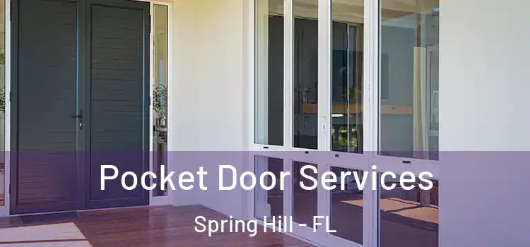 Pocket Door Services Spring Hill - FL