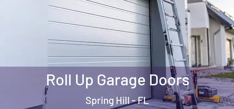  Roll Up Garage Doors Spring Hill - FL