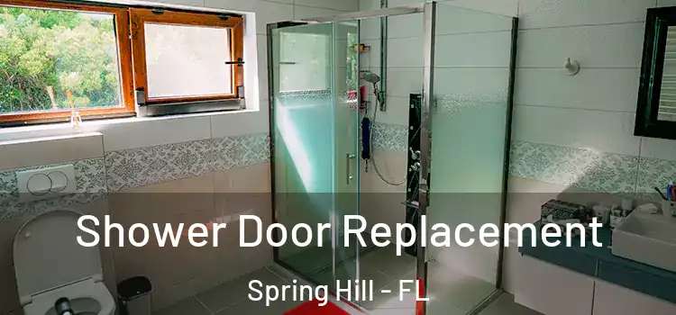 Shower Door Replacement Spring Hill - FL