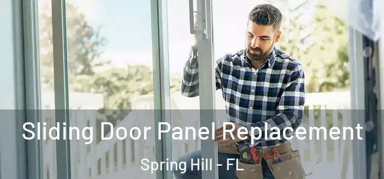  Sliding Door Panel Replacement Spring Hill - FL
