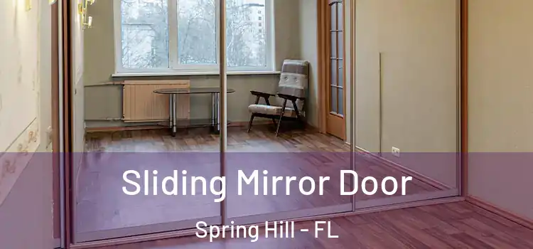  Sliding Mirror Door Spring Hill - FL