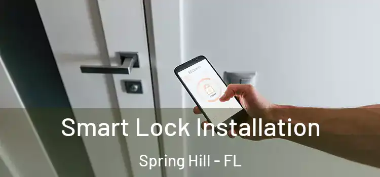 Smart Lock Installation Spring Hill - FL