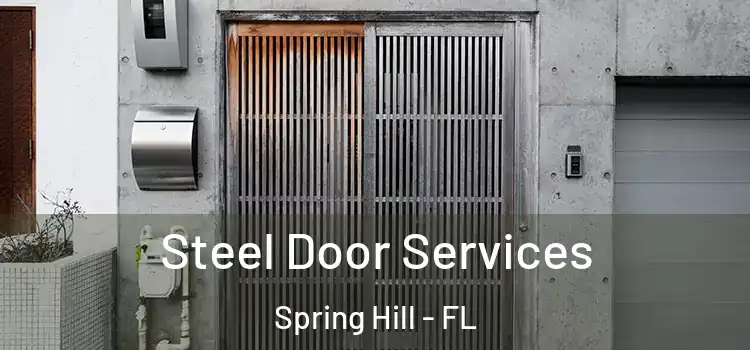 Steel Door Services Spring Hill - FL