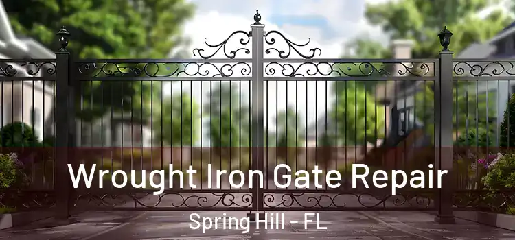Wrought Iron Gate Repair Spring Hill - FL